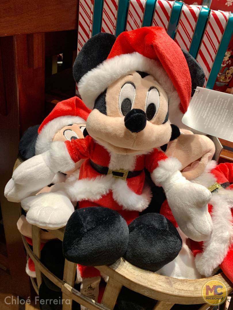, Walt Disney World Update – The Show WON’T Go On