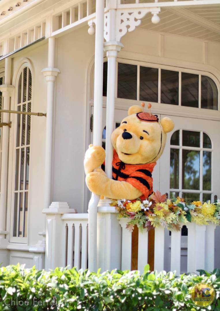 , Walt Disney World Update – How Much of a Good Thing is Too Much?