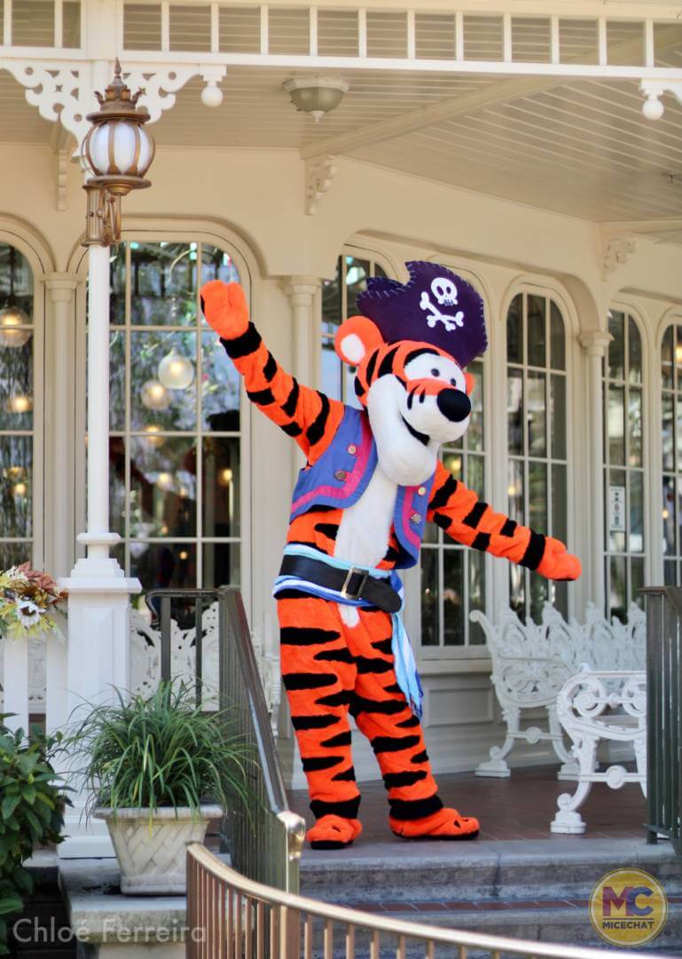 , Walt Disney World Update – How Much of a Good Thing is Too Much?