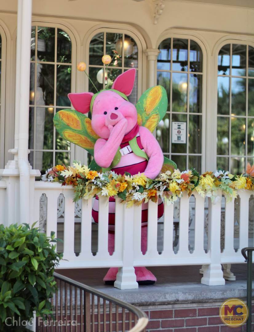 , Walt Disney World Update – How Much of a Good Thing is Too Much?