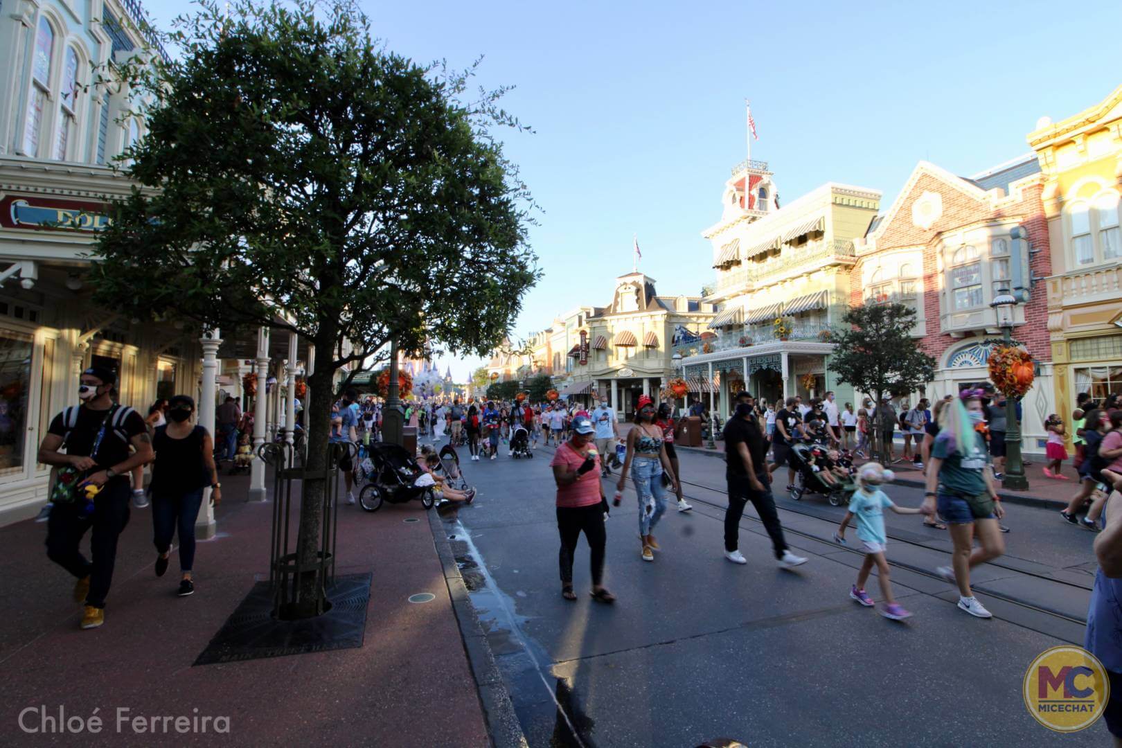 , Walt Disney World Update – How Much of a Good Thing is Too Much?