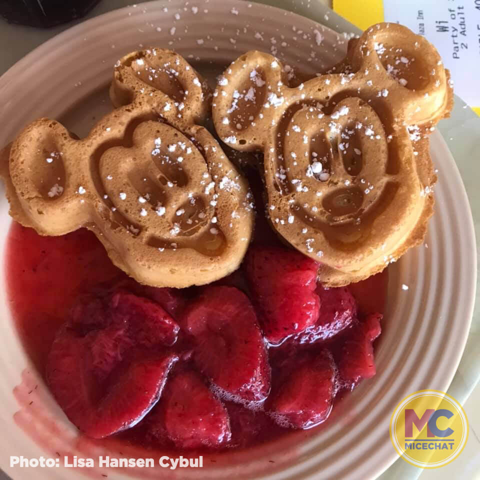 , Disneyland Update – You Aren’t Going to Like This