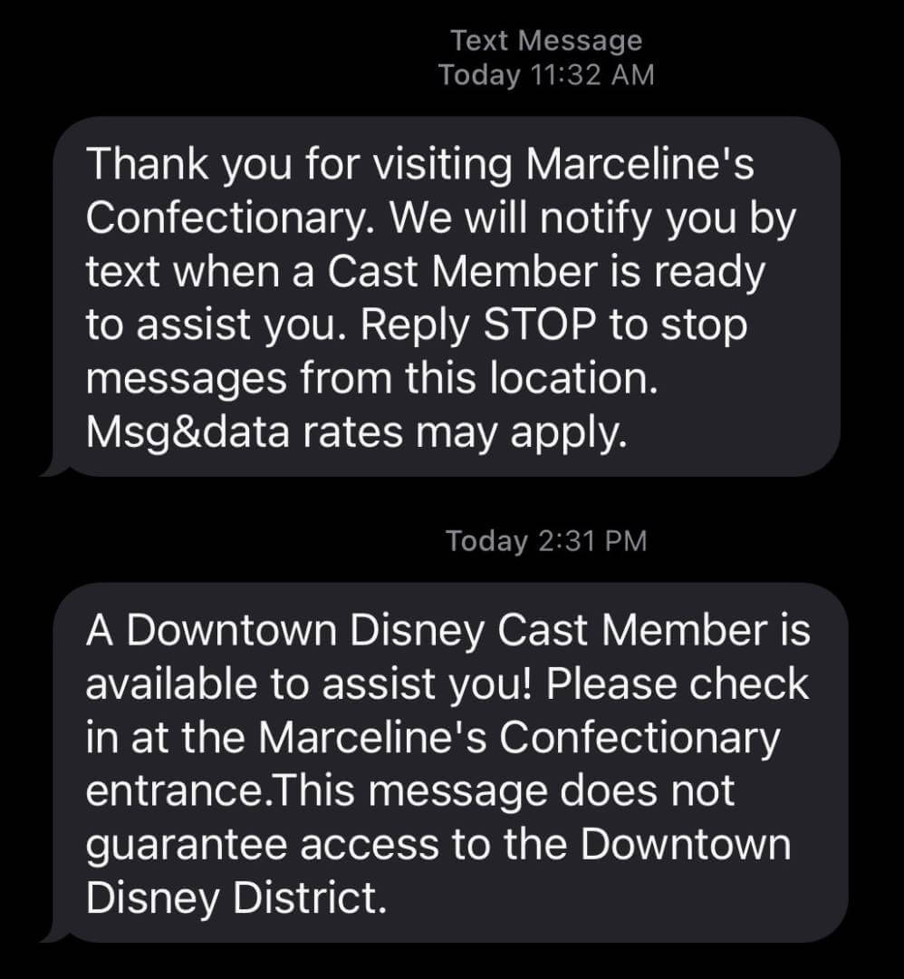 , Disneyland Update – You Aren’t Going to Like This