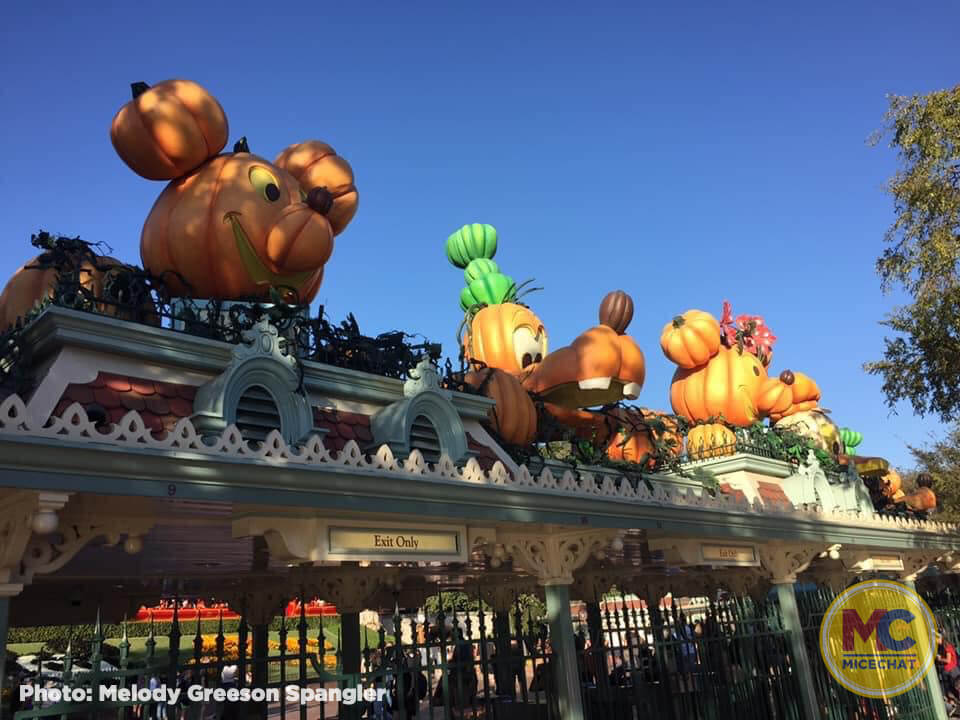 , Disneyland Update &#8211; You Aren&#8217;t Going to Like This