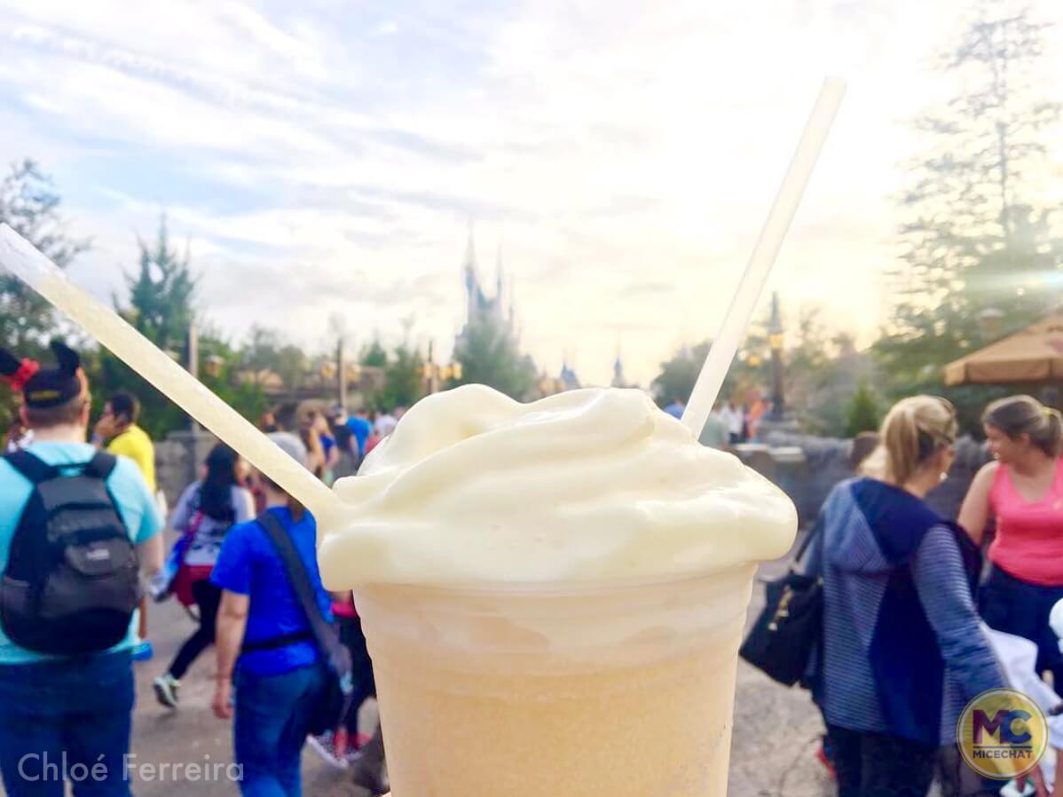 , Walt Disney World Update – How Much of a Good Thing is Too Much?