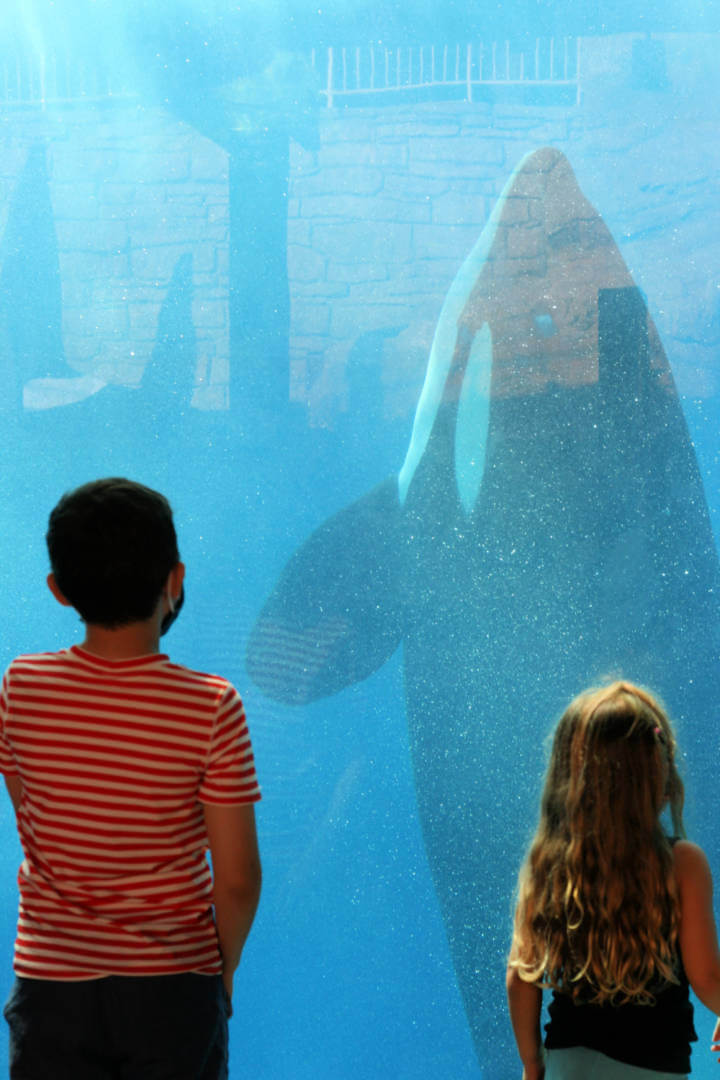 , Trick Or Treat – SeaWorld San Diego Halloween Spooktacular