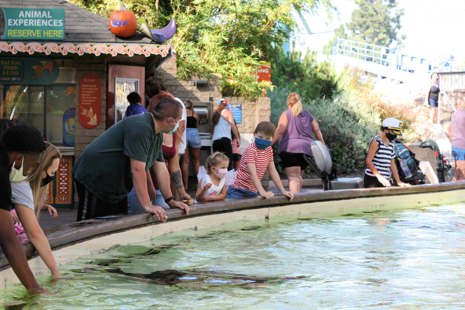 , Trick Or Treat &#8211; SeaWorld San Diego Halloween Spooktacular