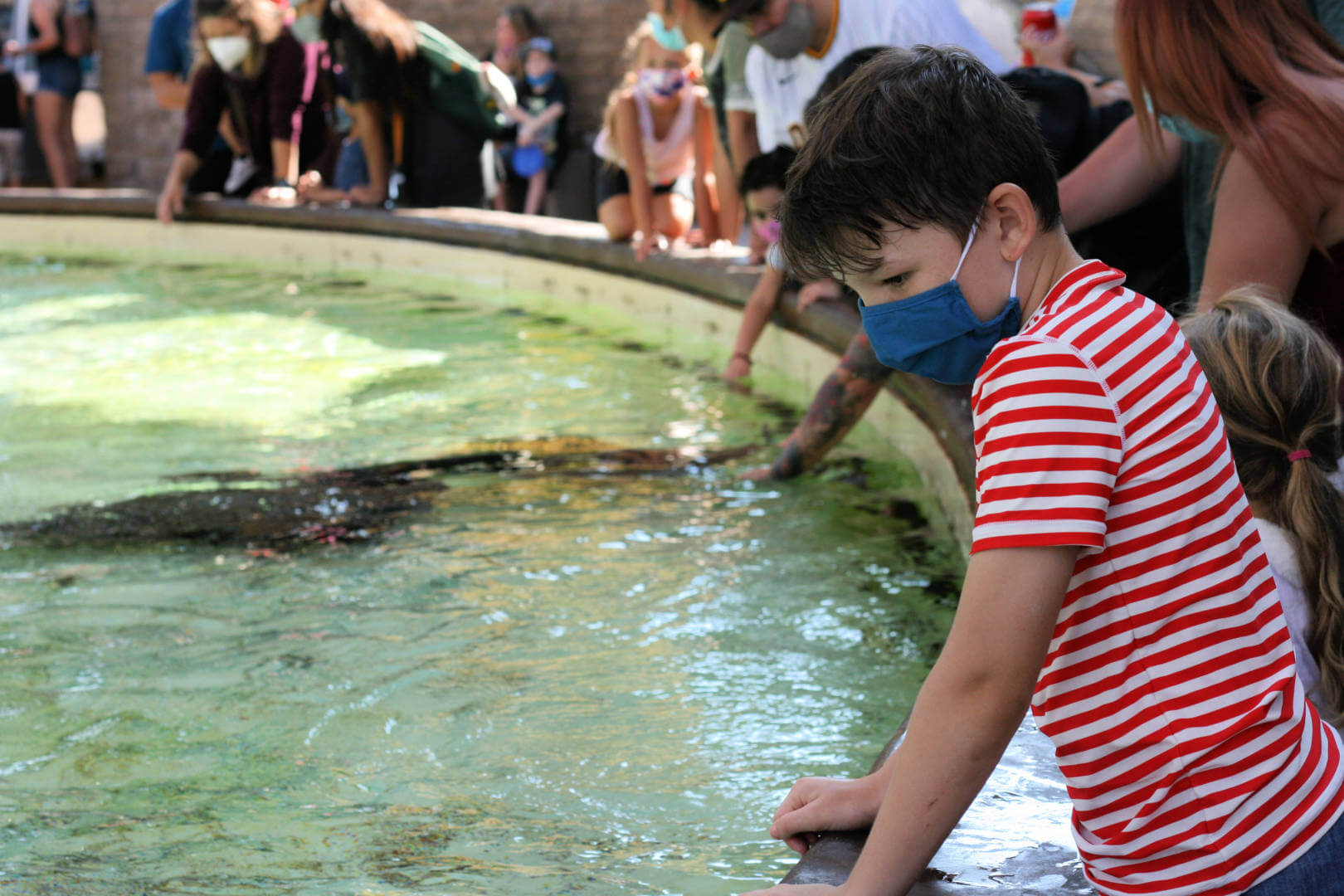 , Trick Or Treat – SeaWorld San Diego Halloween Spooktacular