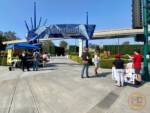 Sparse Protest
