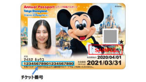 , Tokyo Disneyland Annual Pass Program Ending – Could it Happen at Disneyland?