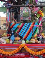 Zocalo Park Ofrenda 2 Donna Collins MiceChat