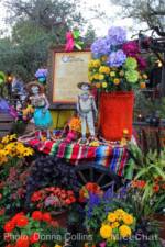 Zocalo Park Ofrenda Donna Collins MiceChat
