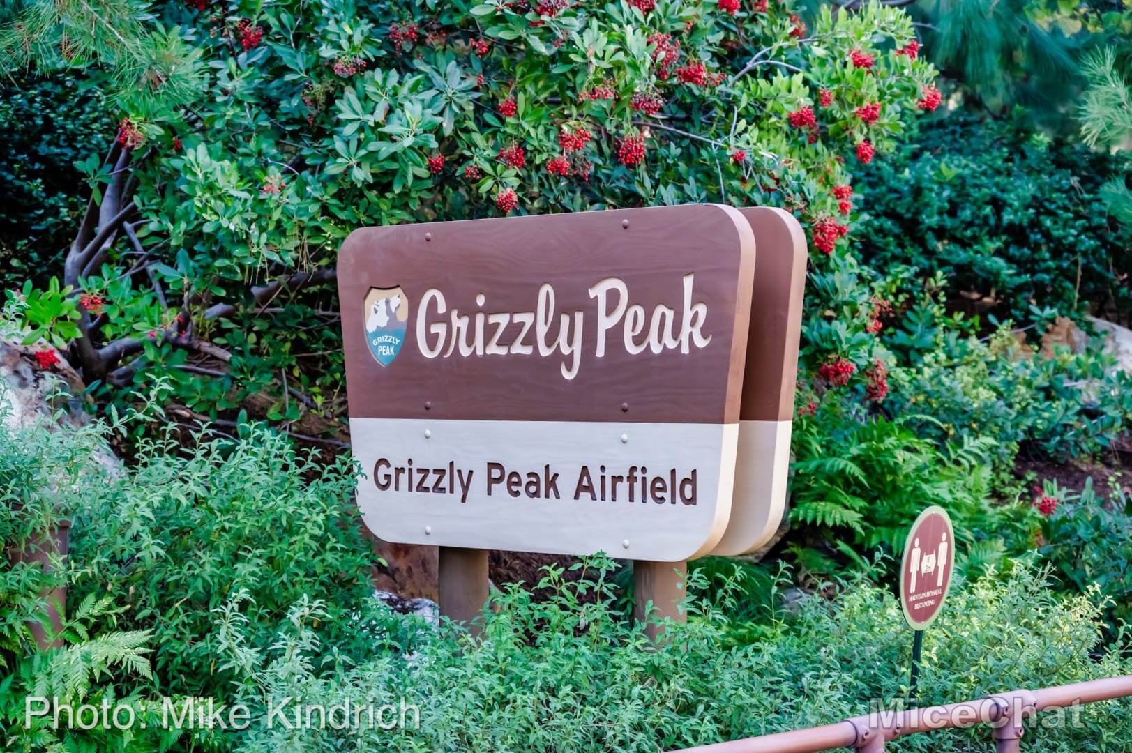 , Disneyland Update – Holiday Hopes and Humbugs