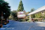 Buena Vista Street David Yeh – Grizzly Airfield 1-micechat_sharing