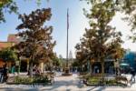 Buena Vista Street David Yeh – entry-micechat_sharing