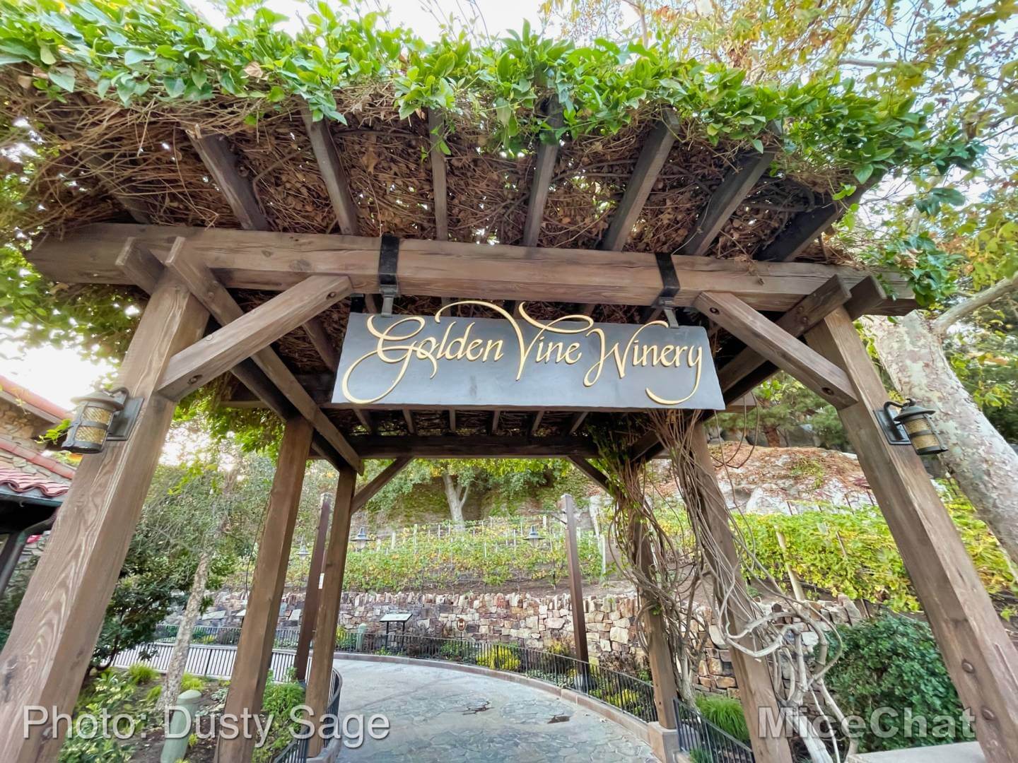 , Disneyland Update – It’s a Small Holiday After All