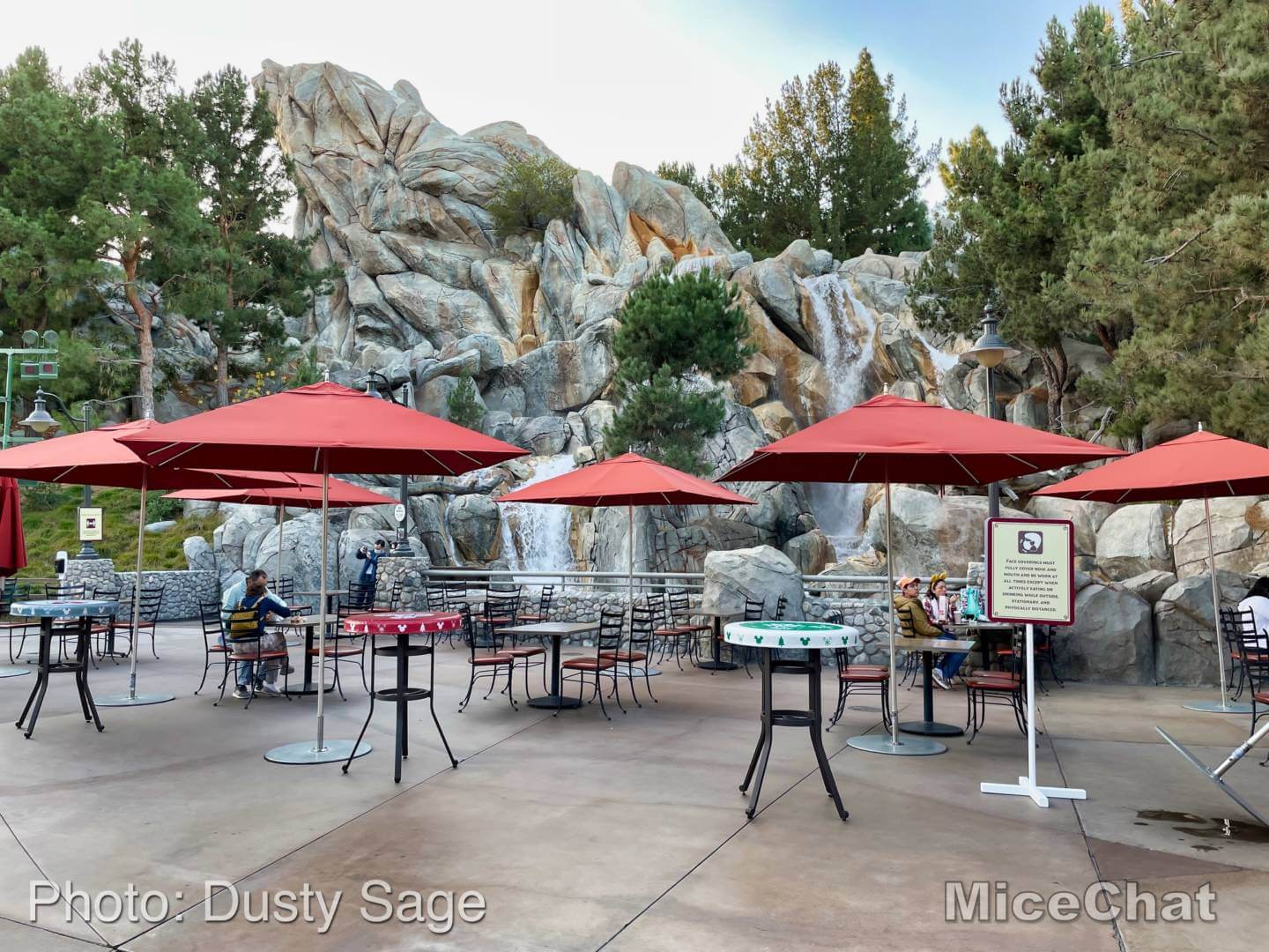 , Disneyland Update &#8211; It&#8217;s a Small Holiday After All