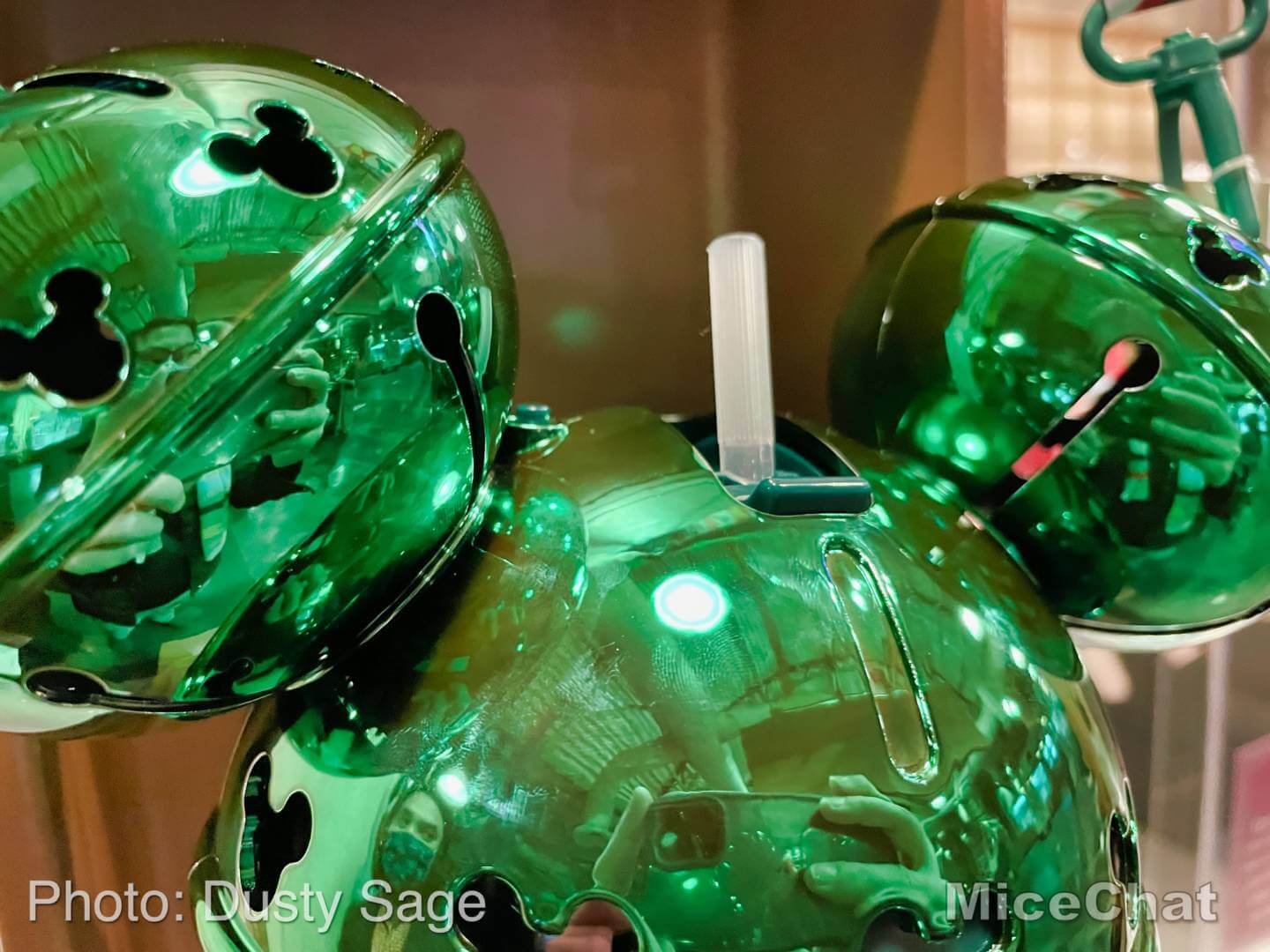 , Disneyland Update – It’s a Small Holiday After All