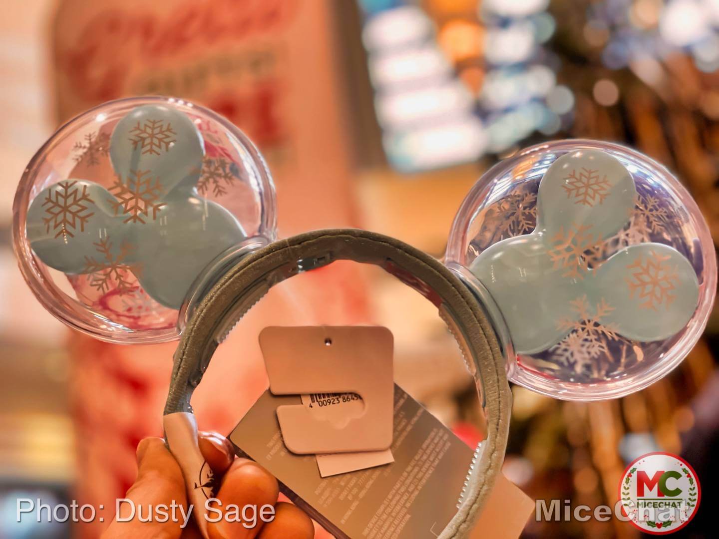 , Disneyland Update – It’s a Small Holiday After All