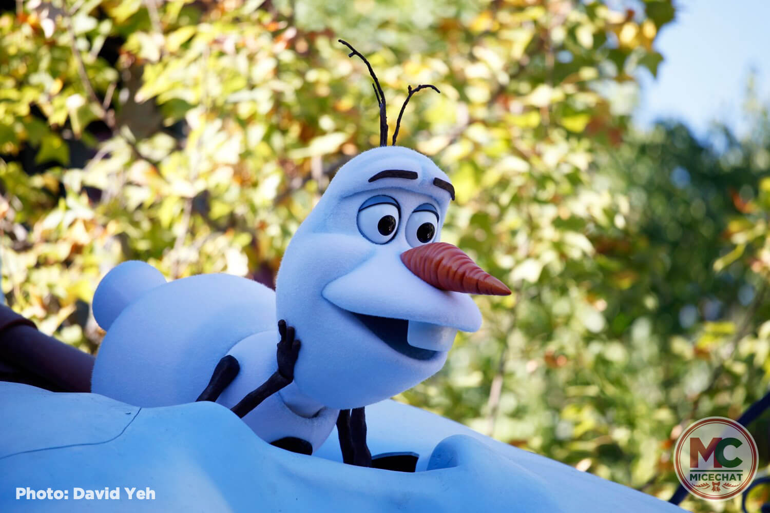 , Disneyland Update – Open and Closed as Disneyland Faces a Purple Christmas
