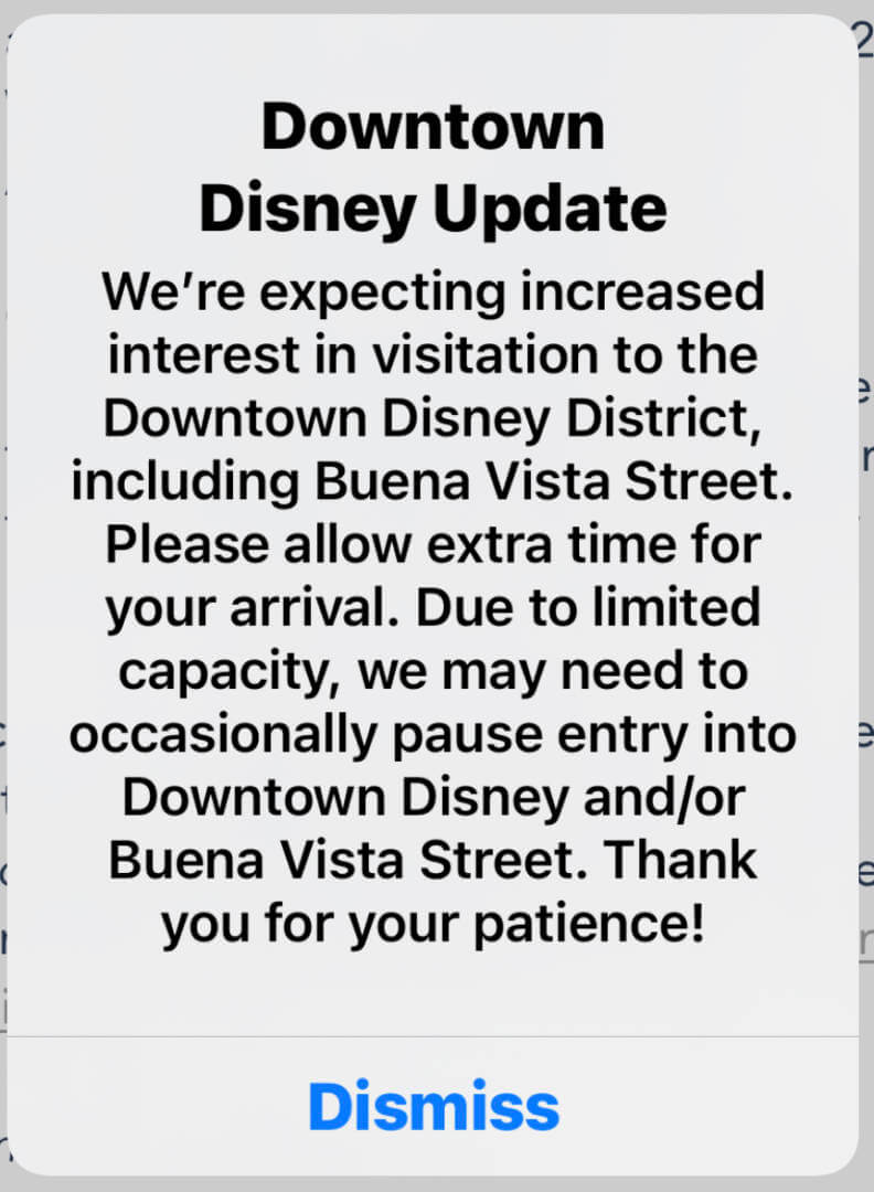 , Disneyland Update – Holiday Hopes and Humbugs