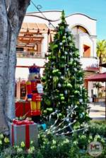 Disneyland Buena Downtown Disney Tree 2