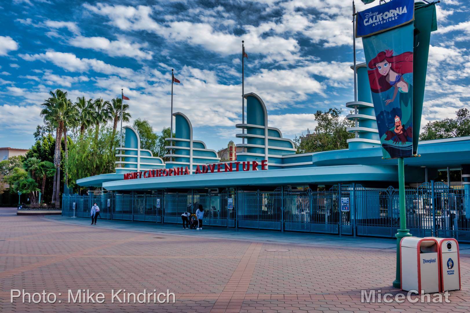 , Disneyland Update &#8211; Open and Closed as Disneyland Faces a Purple Christmas