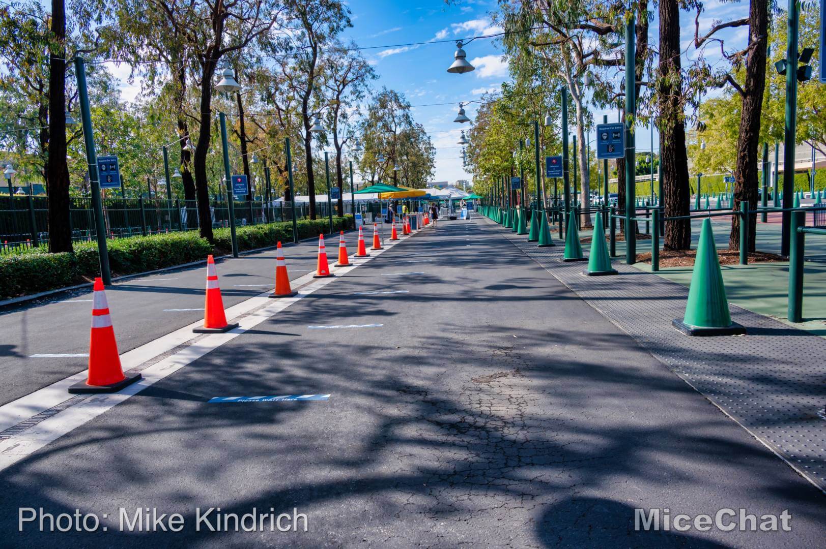 , Disneyland Update – Open and Closed as Disneyland Faces a Purple Christmas