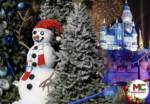 Disneyland Update Cover Image Holidays