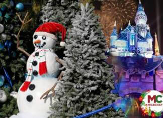 Disneyland Update – It’s a Small Holiday After All