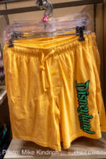 Disneyland-merchandise-upate-november-2020-yellow-disneyland-mens-shorts