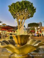 Downtown Disney Holiday fountain-micechat_sharing
