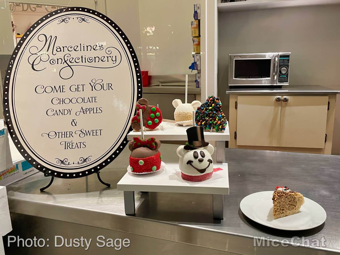 , Disneyland Update – It’s a Small Holiday After All
