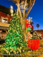 Downtown Disney Holiday trees package-micechat_sharing