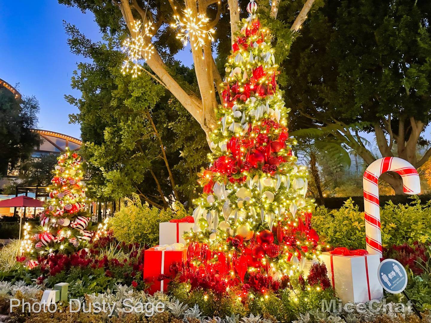 , Disneyland Update – It’s a Small Holiday After All