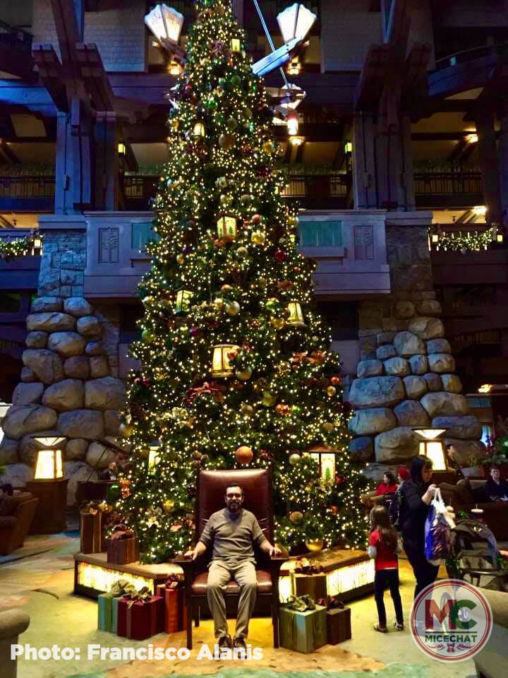 , Disneyland Update – Open and Closed as Disneyland Faces a Purple Christmas