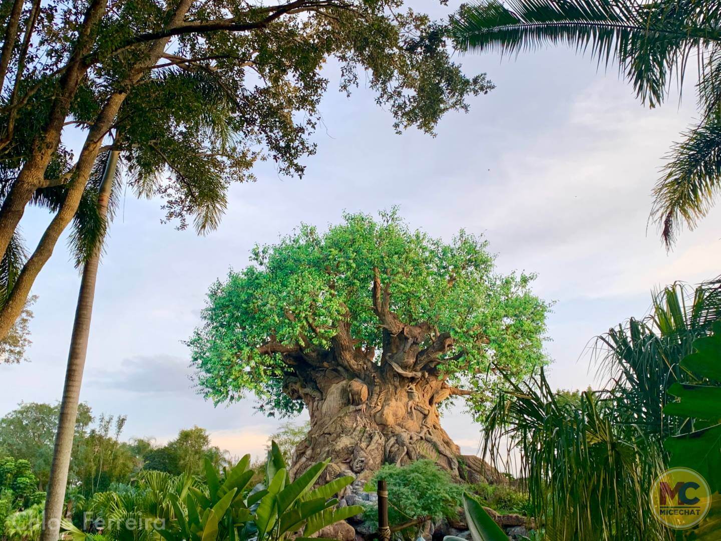 , Walt Disney World Update – Coasters, Christmas, and Crowds