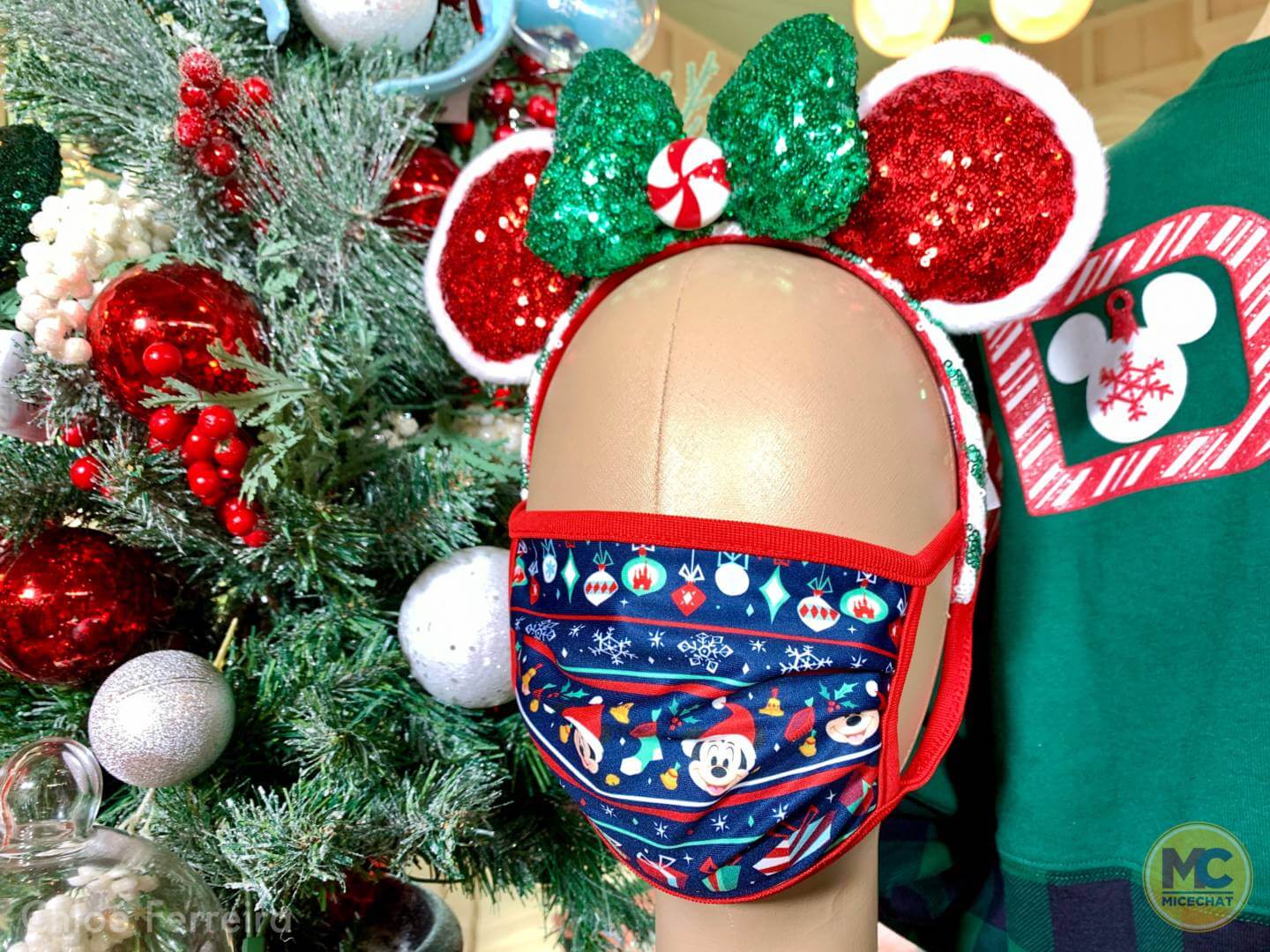 , The Holidays Arrive at Walt Disney World’s Magic Kingdom!