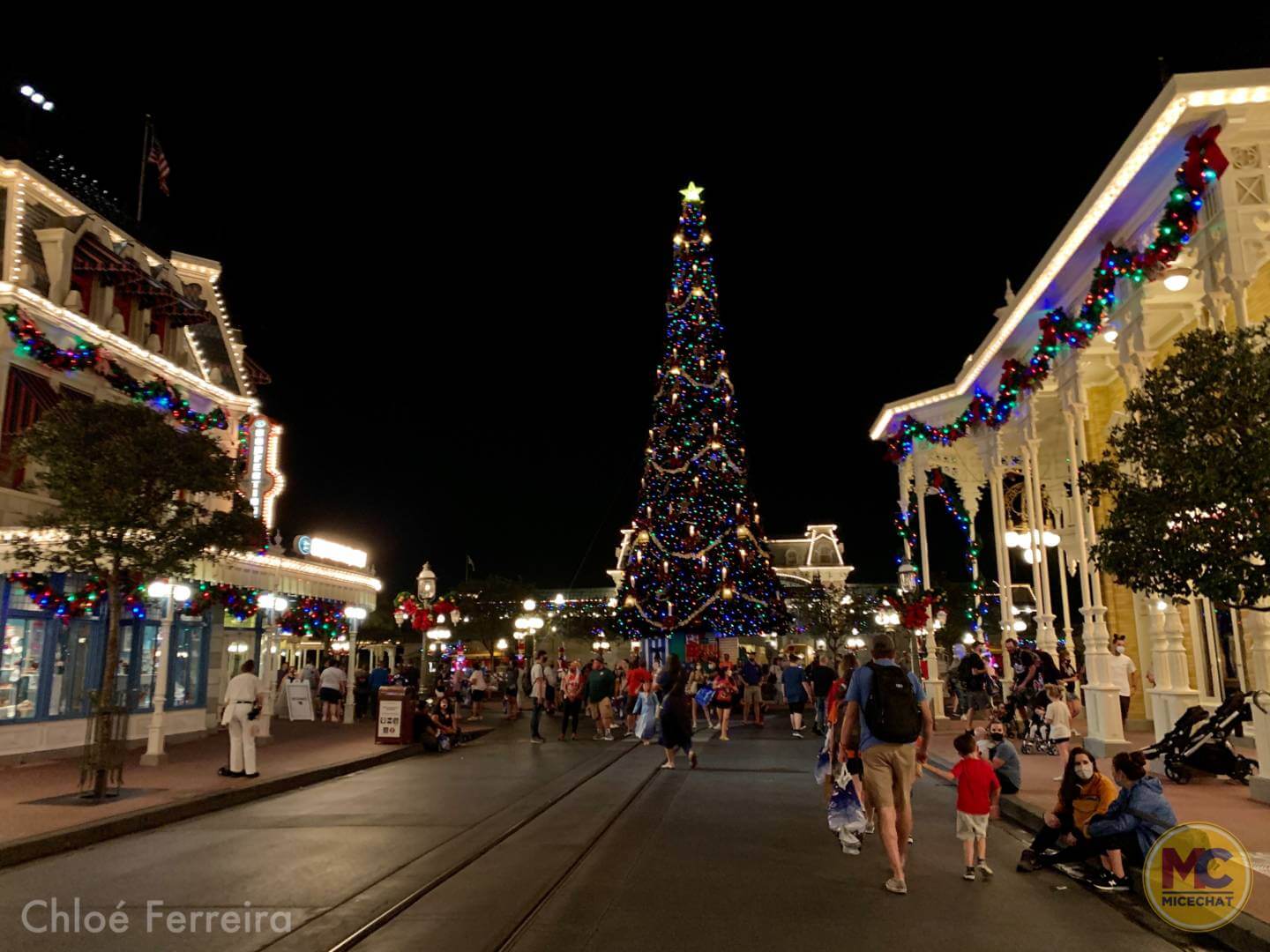 , The Holidays Arrive at Walt Disney World’s Magic Kingdom!