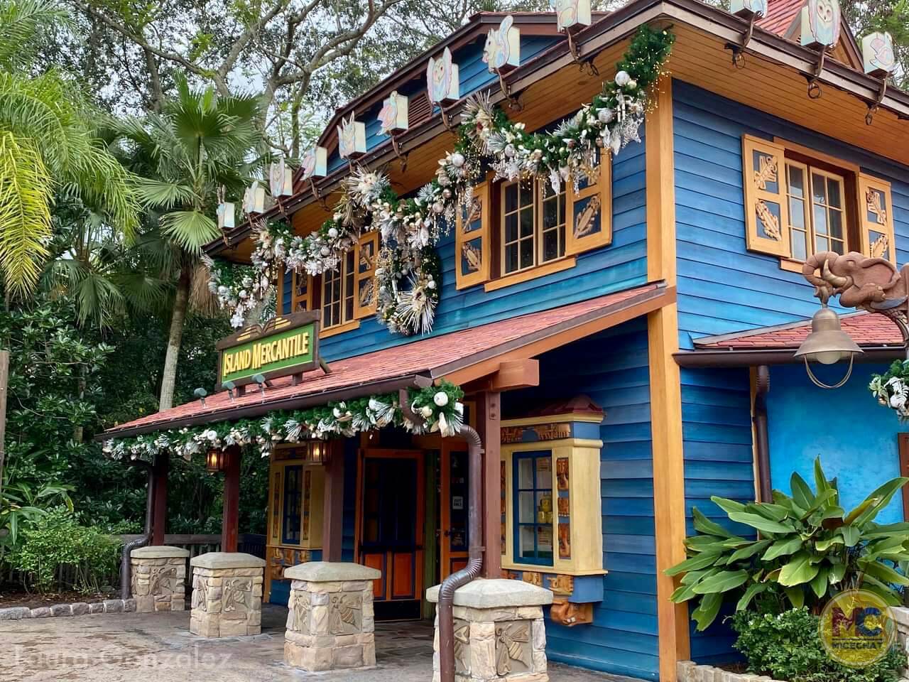 , Walt Disney World Update – Coasters, Christmas, and Crowds