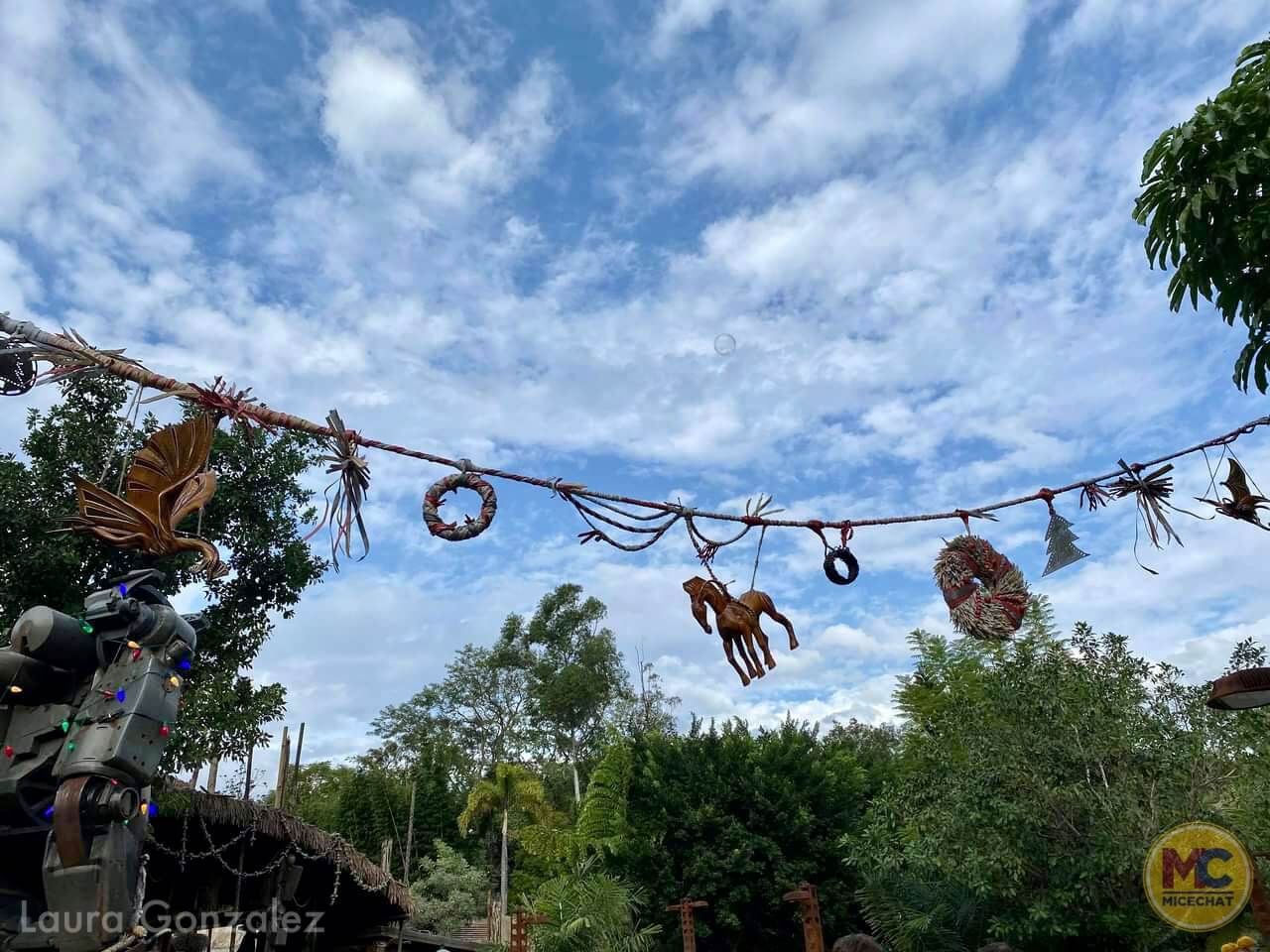 , Walt Disney World Update – Coasters, Christmas, and Crowds