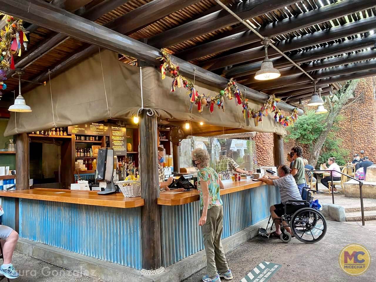 , Walt Disney World Update – Coasters, Christmas, and Crowds