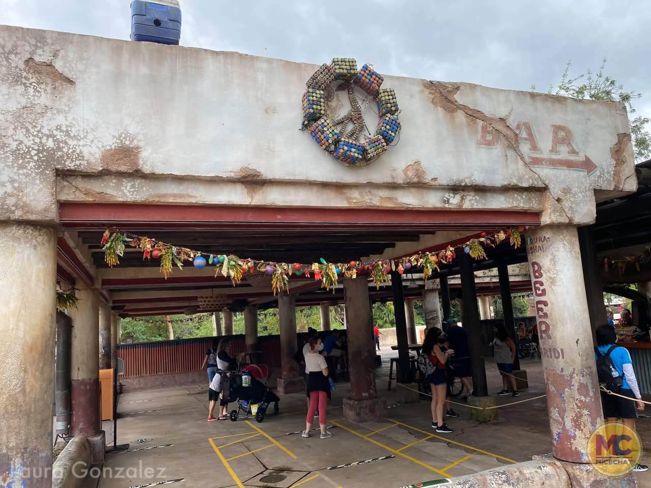 , Walt Disney World Update &#8211; Coasters, Christmas, and Crowds