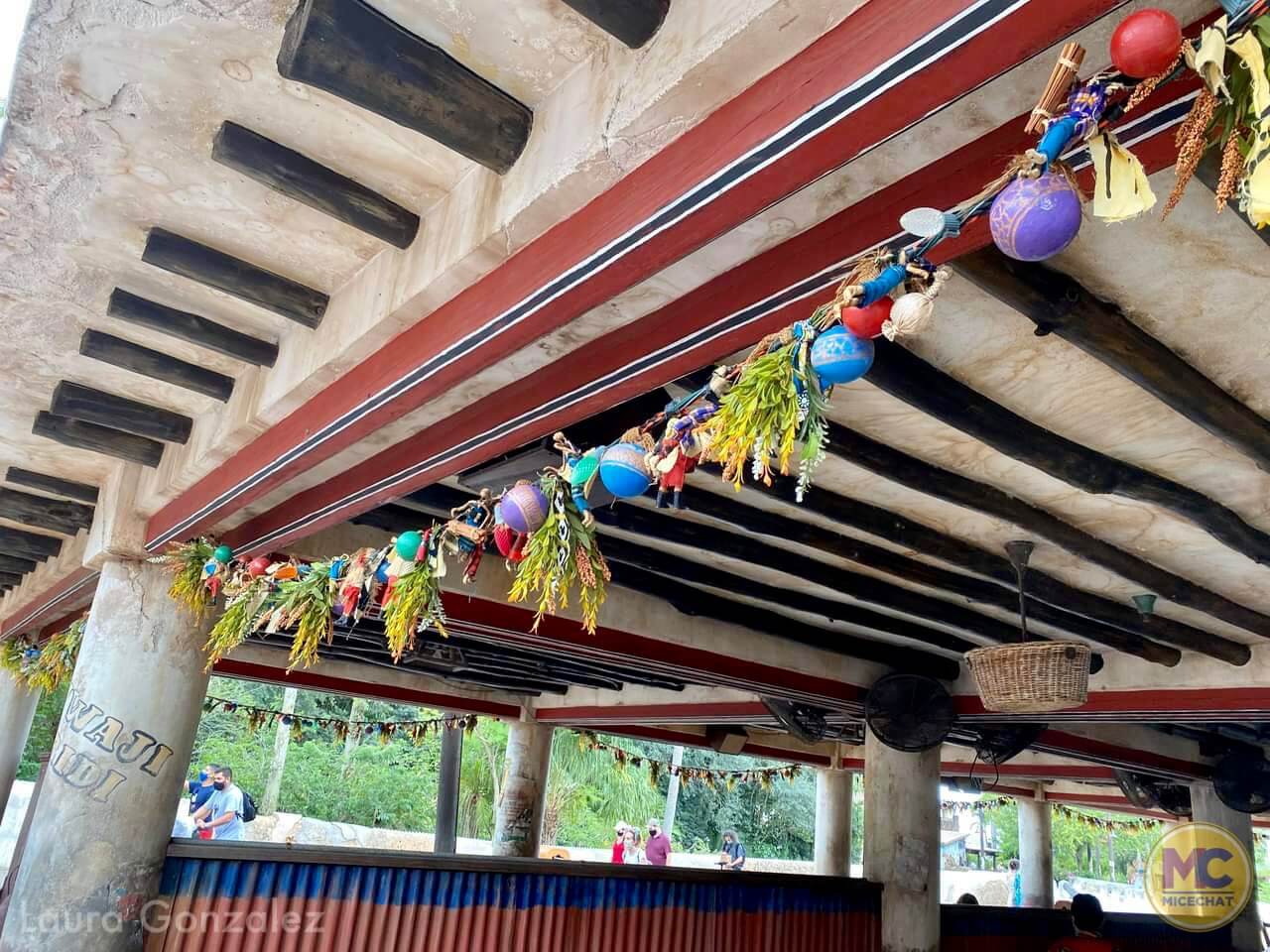 , Walt Disney World Update – Coasters, Christmas, and Crowds