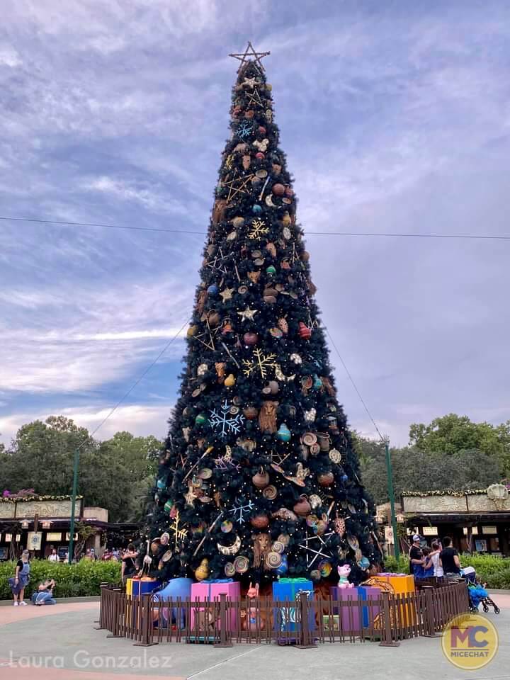 , Walt Disney World Update – Coasters, Christmas, and Crowds