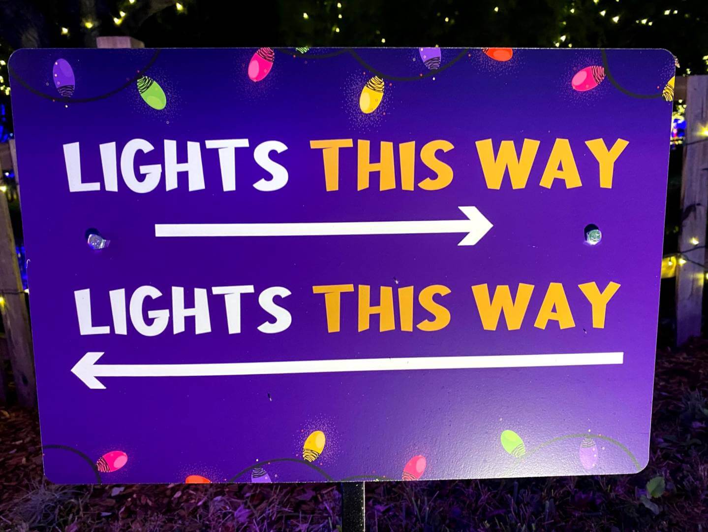, A Spectacular Sight – Night of a Million Lights!