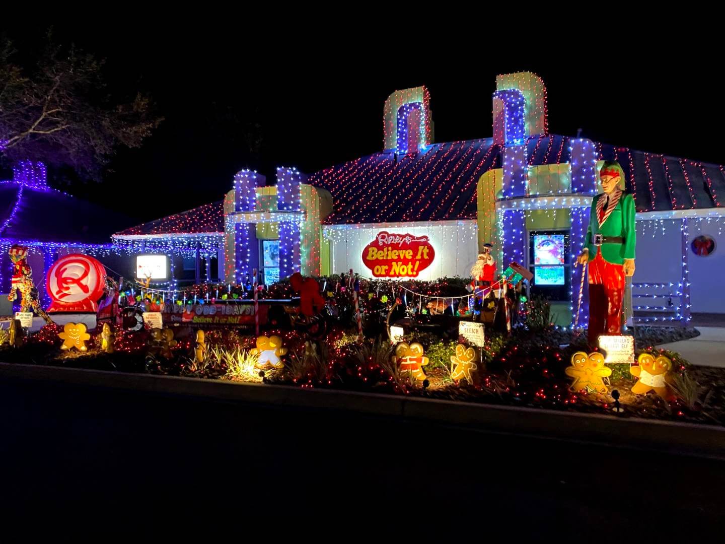 , A Spectacular Sight – Night of a Million Lights!
