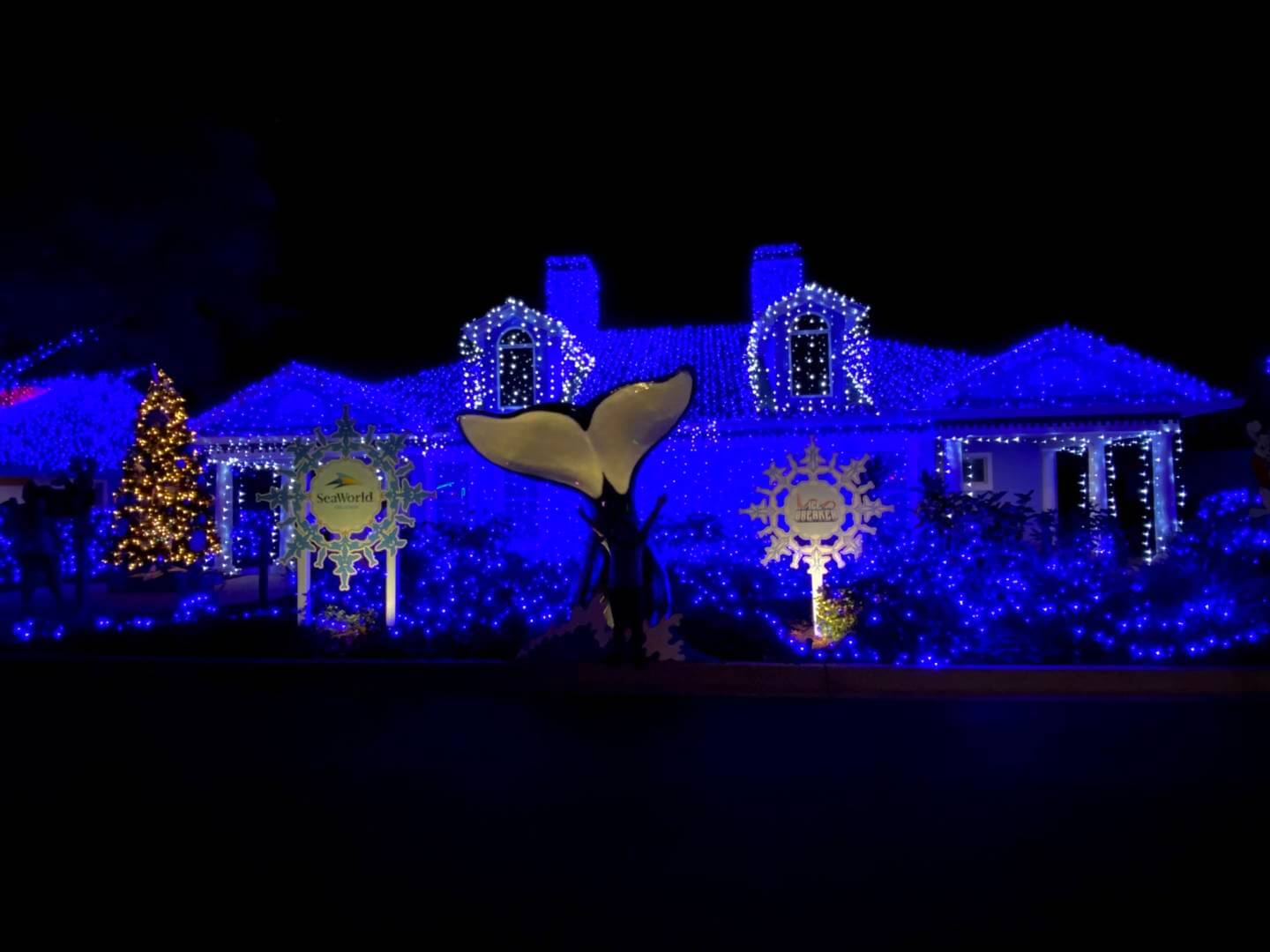 , A Spectacular Sight – Night of a Million Lights!