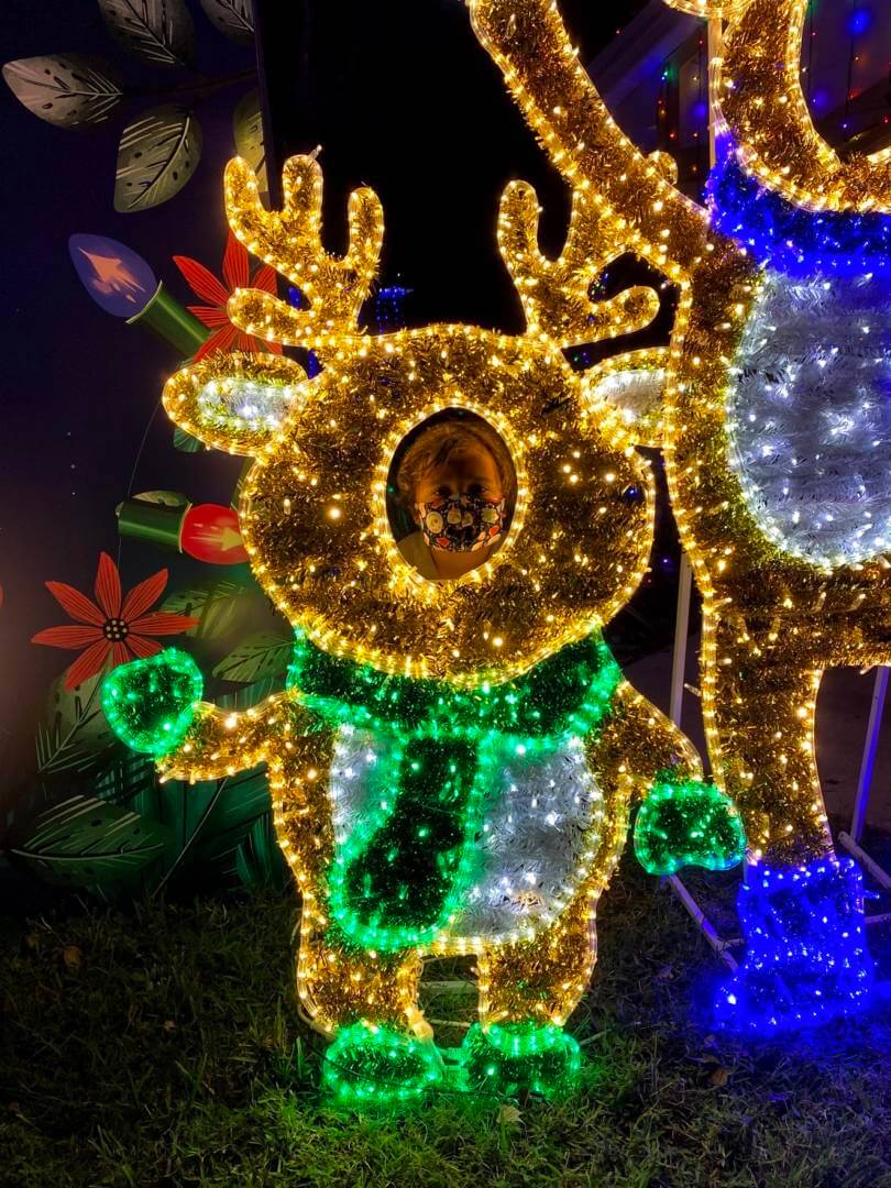 , A Spectacular Sight – Night of a Million Lights!