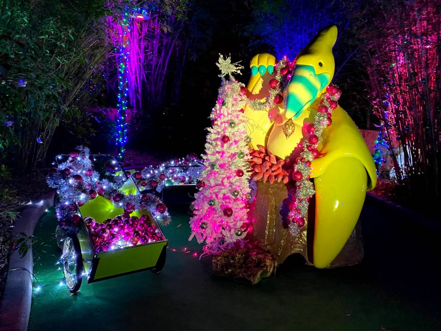 , A Spectacular Sight – Night of a Million Lights!